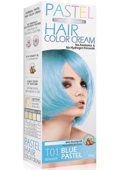 CAREBEAU PASTEL HAIR COLOR CREAM #T01 Blue Pastel 100 G. ครีมเปลี่ยนสีผมแคร์บิว พาสเทล 100 g. ไม่มีแอมโมเนีย และ ไฮโดรเจน เปอร์ออกไซด์ T01-สีฟ้าพาสเทล