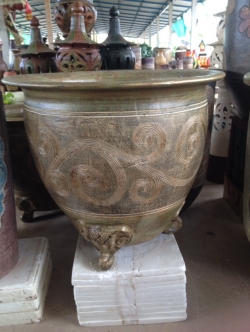 กระถางขาช้าง