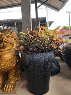 กระถางทรงกระบอก