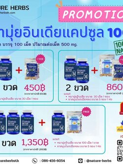 สมุนไพรหมามุ่ยอินเดียแคปซูล 3+1 ขวด แถม!! ชาสมุนไพรเมียหลง ขนาด 5 ซอง 1 ห่อ