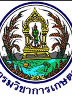 กรมวิชาการเกษตร เปิดรับสมัครสอบข้าราชการ 4 อัตรา ตั้งแต่วันที่ 1-22 ตุลาคม พ.ศ. 2568
