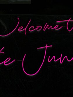 ไฟนีออน เฟค