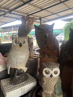 นกฮูกขาวพร้อมขอนไม้ยืน