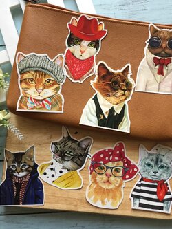 แมว แฟชั่น สติกเกอร์ เคลือบกันน้ำ ติดกระเป๋าเดินทาง มอเตอร์ไซค์ Laptop เคสโทรศัพท์ กระบอกน้ำ Waterproof Decal Sticker