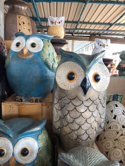 นกฮูกประดับ