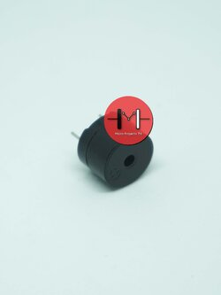 Active Buzzer 12V