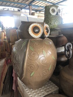 นกฮูกจอมอ้วน