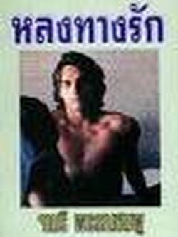 หลงทางรัก / จามรี พรรณชมพู