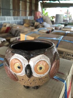 กระถางแคนตัส แฮนอม