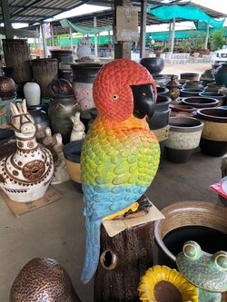 นกแก้วประดับสวน