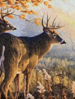 งานพิมพ์ wallpaper