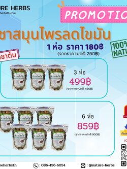 ชาสมุนไพรลดพุง ลดไขมัน Perfect Detox Herb สูตรเร่งด่วน 6 ห่อ (แบบชาต้ม)