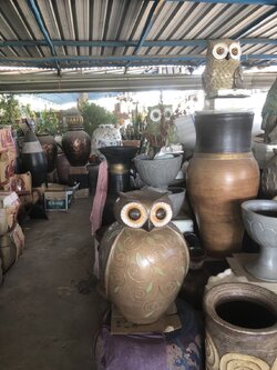 นกฮูกตาโต