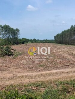 ขายที่ดิน 38 -1 -7 ไร่ อำเภอศรีมหาโพธิ ปราจีนบุรี ห่างทางหลวงหมายเลข 304 เพียง 1.50 กม.