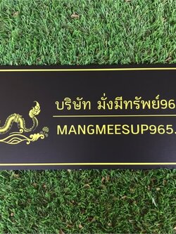 ป้ายสกีน