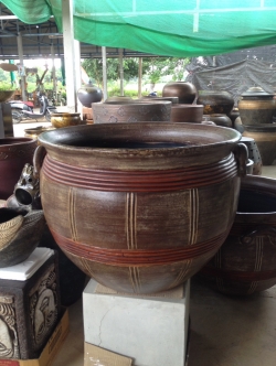 อ่างปลูกบัวลายหวาย