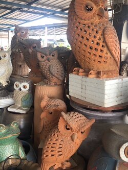 ครอบครัวนกฮูก