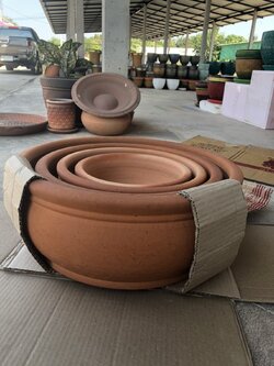 ชุดถาดโชว์โคนต้นไม้งานดิบธรรมชาติ