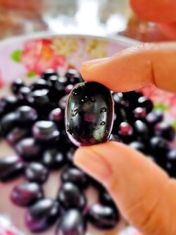 ต้นหว้าเกษตร ลูกหว้าต้นไม้โบราณเริ่มหายากแล้ว ต้นพร้อมเสริฟถึงหน้าบ้านค่ะ