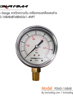 Nuova Fima,Pressure Gauge เกจวัดความดัน เกลียวทองเหลืองลงล่าง,PG60-16BAR