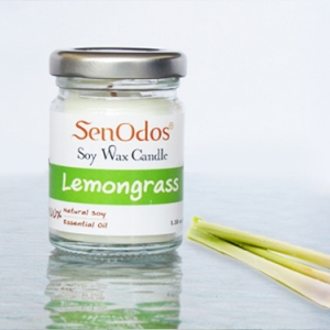 กลิ่นตะไคร้ Lemongrass