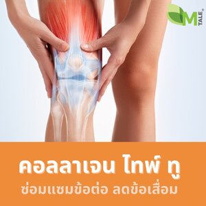 คอลลาเจน ไทพ์ ทู (Collagen type II)