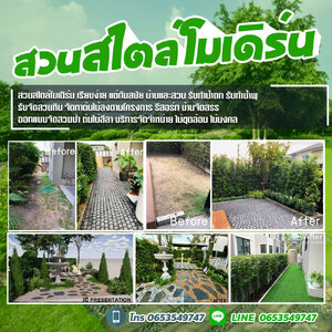 ปลูกต้นนางกวัก โทร 065-3549747 รับจัดหา ย้าย ปลูก ไม้ล้อม ไม้สวยงาม ต้นไม้มงคล บริการขุด ล้อม ย้าย ต้นไม้