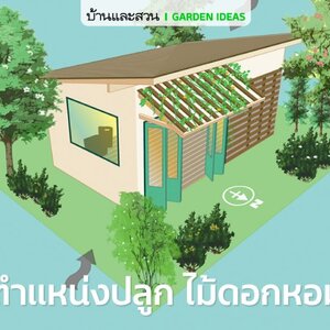 เคล็ดลับจัดสวนด้วยต้นไม้ดอกหอม รู้ทิศรู้มุมให้สวนหอมไปได้ทั้งสวน