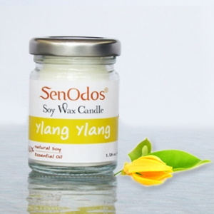 กลิ่นกระดังงา Ylang Ylang