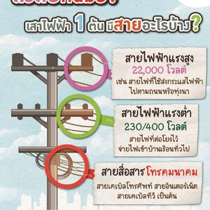 เสาไฟฟ้า 1 ต้น มีสายอะไรบ้าง? [สาระดีๆจาก สายไฟ.com]