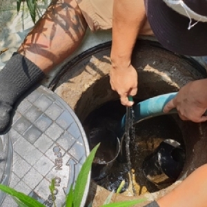 ดูดส้วมพญาไท