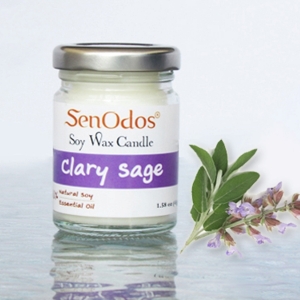 กลิ่นแครี่ เสจ Clary Sage