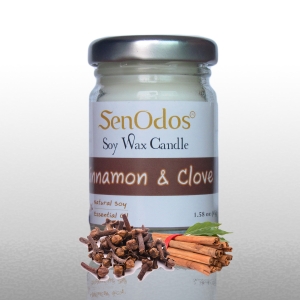 กลิ่นชินนามอน&โคลฟว Cinnamon + Clove