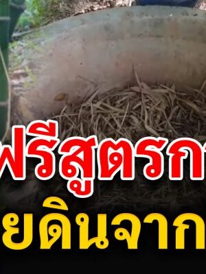 สอนทำ ปุ๋ย ขุยดินไผ่จากใบไม้แห้ง แบบละเอียด มีวีดีโอ