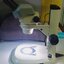 NIKON Used Microscope Nikon SMZ-645 กล้องมือสอง ESD TYPE