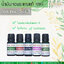 น้ำมันหอมระเหยครบ 5 ธาตุ ชุดกลิ่นหอมเข้มข้น (Intense 5 Element Essential Oils) น้ำมันหอมอโรม่าแท้ 100%