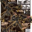 RG #24 1/144 MBF-P01-Re2 Gundam Astray Gold Frame Amatsu Mina
