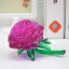 3D Crystal Roses