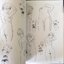 สอนวาดภาพ Manga